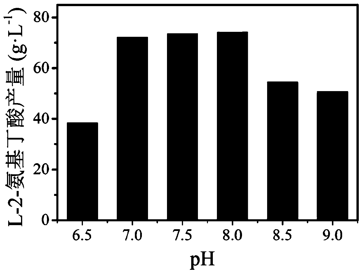 Leucine dehydrogenase mutant and application thereof