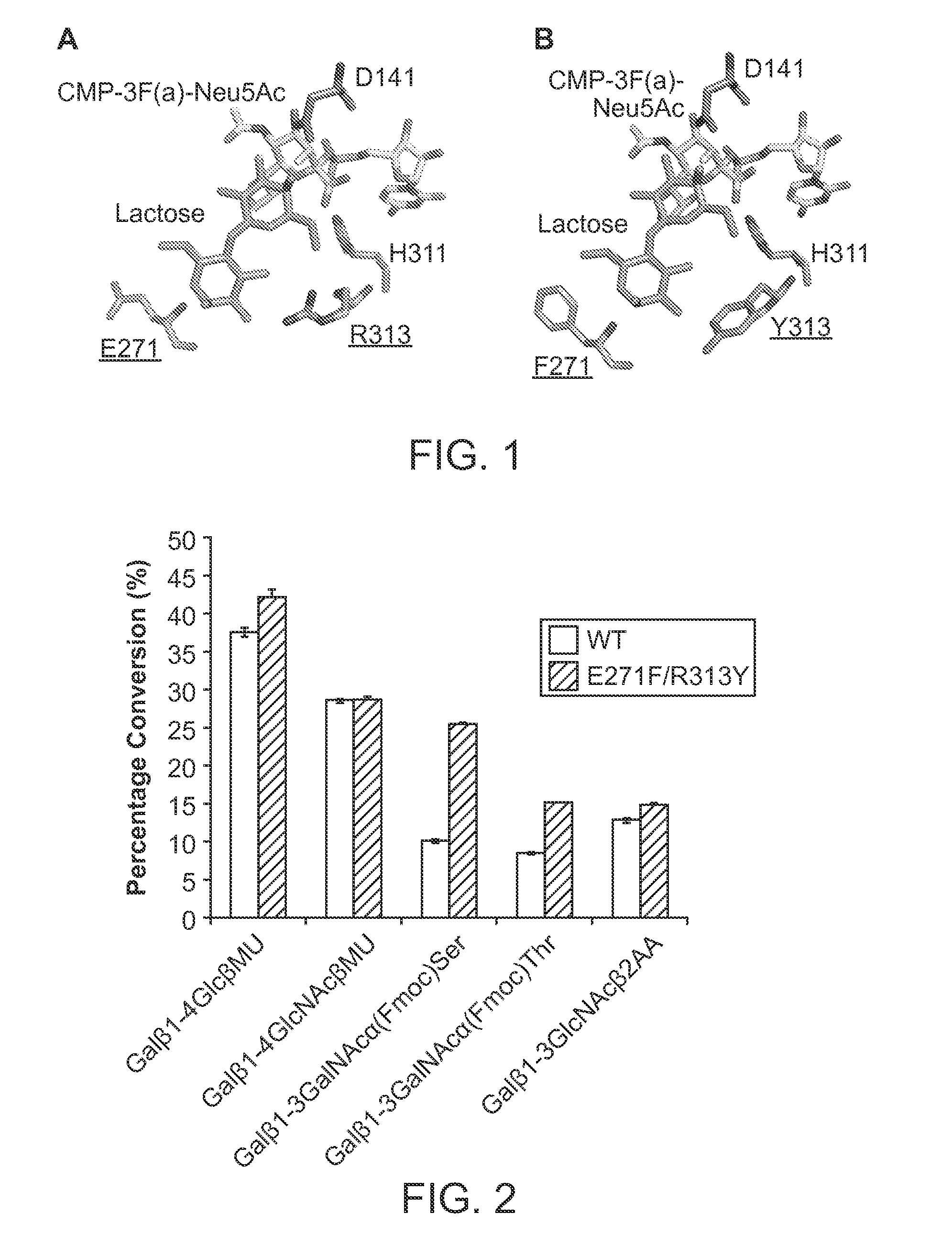 PmST1 mutants for chemoenzymatic synthesis of sialyl lewis X compounds