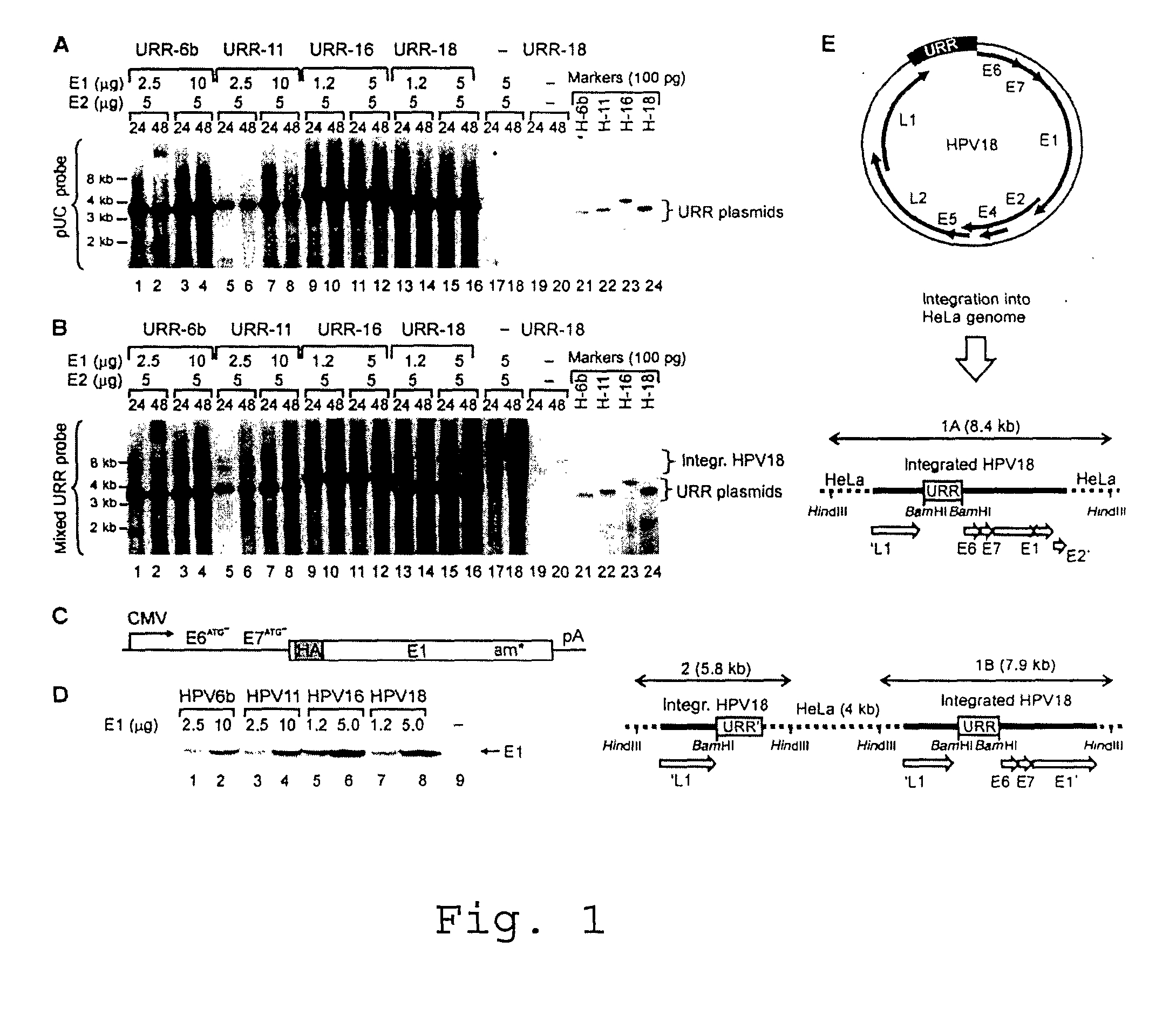 Method for introducing changes into a eukaryotic genome in vivo and a kit