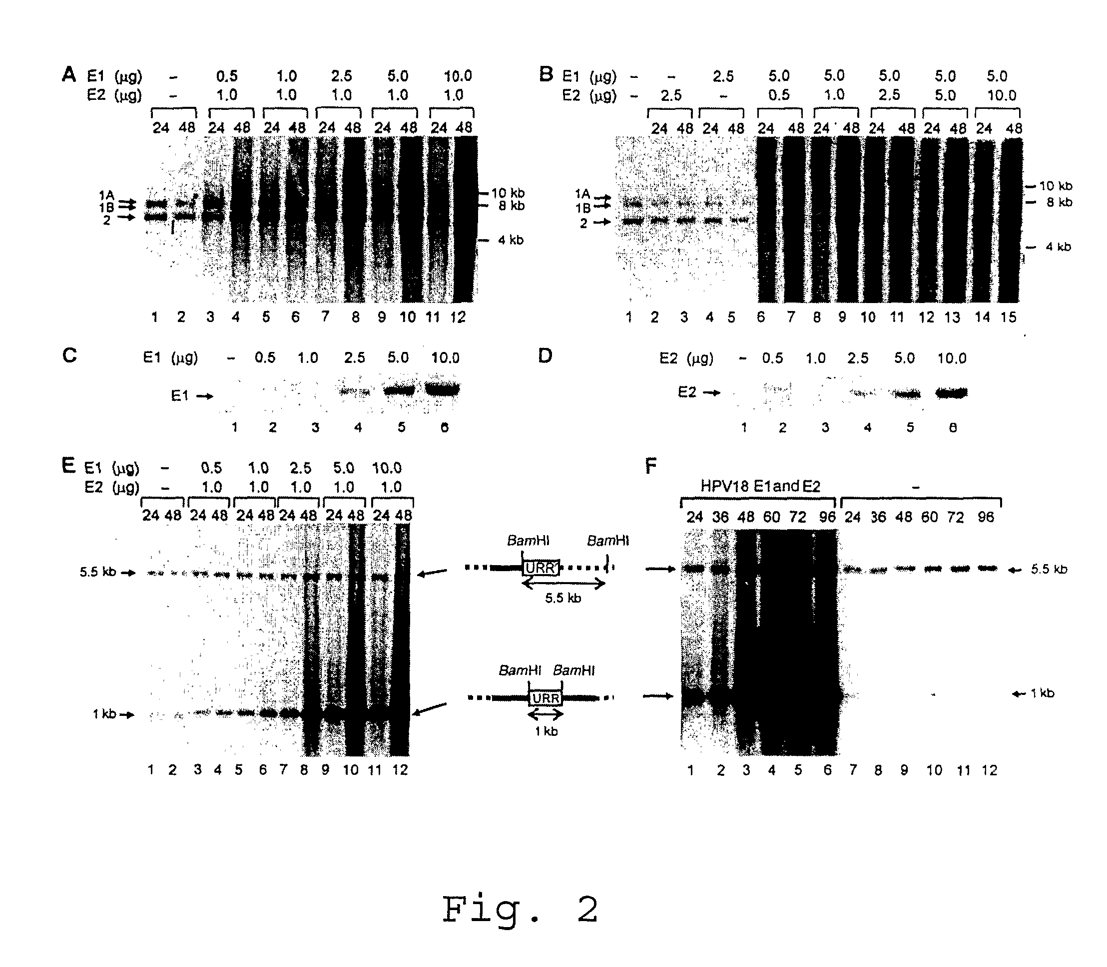 Method for introducing changes into a eukaryotic genome in vivo and a kit