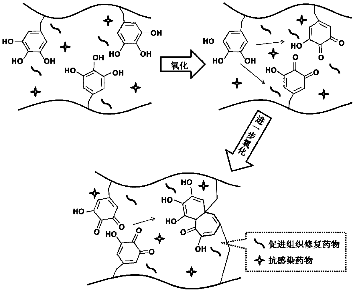 Protective repair hydrogel for damaged parts of skin and mucous membranes and preparation method thereof