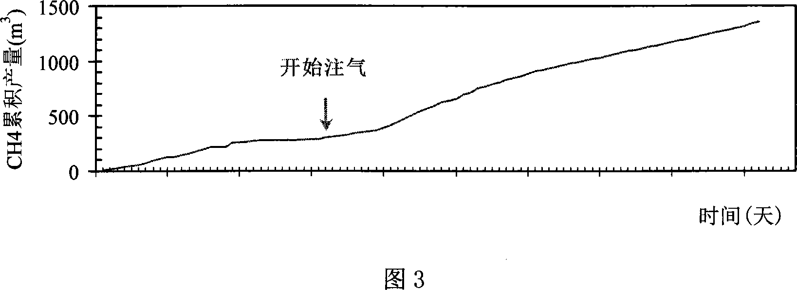 Down-hole horizontal hole exploitation system for mixing gas displacing coal gas, and the method