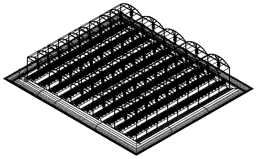 Planting method for introducing new raspberry varieties