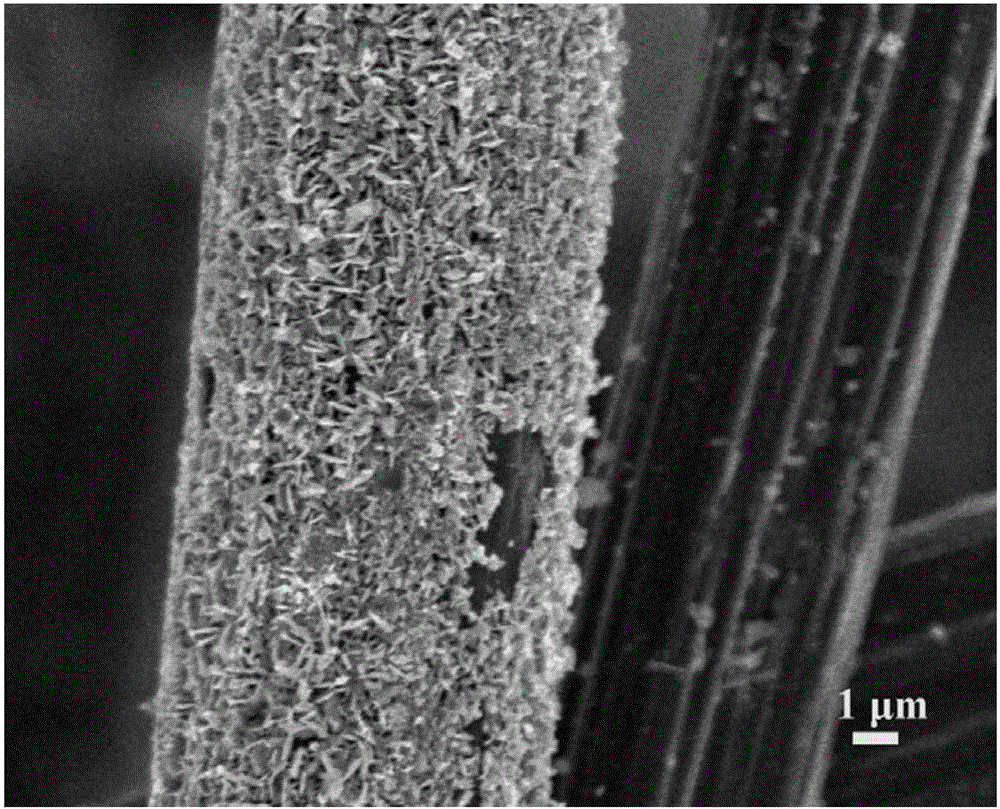 Carbon fiber@molybdenum disulfide nanosheet core-shell composite structure and preparation method thereof