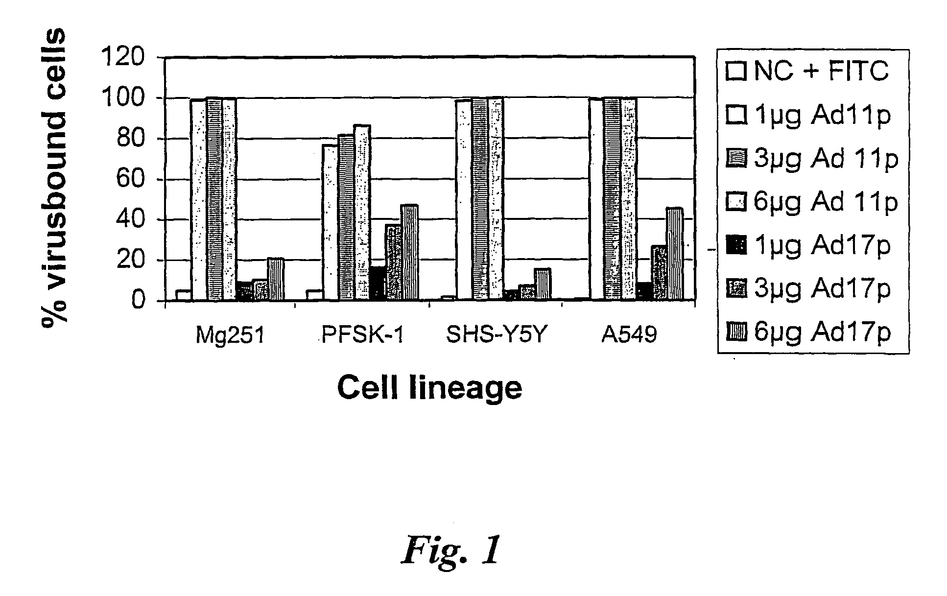 Viral vectors for gene therapy