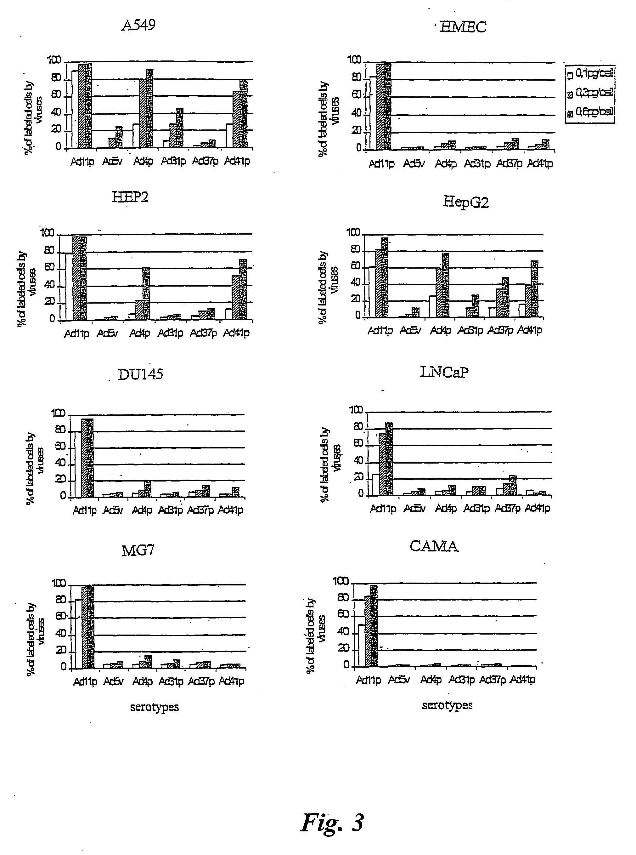 Viral vectors for gene therapy