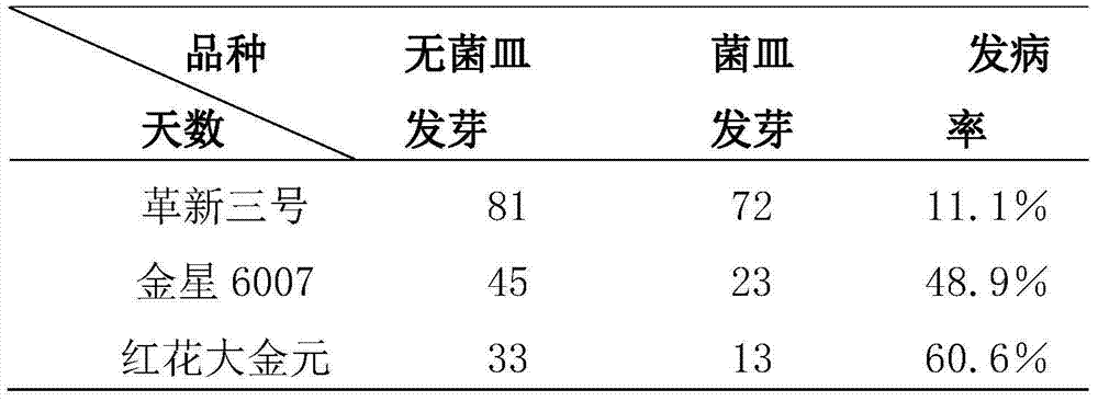 Method for rapidly identifying black shank resistance of tobaccos