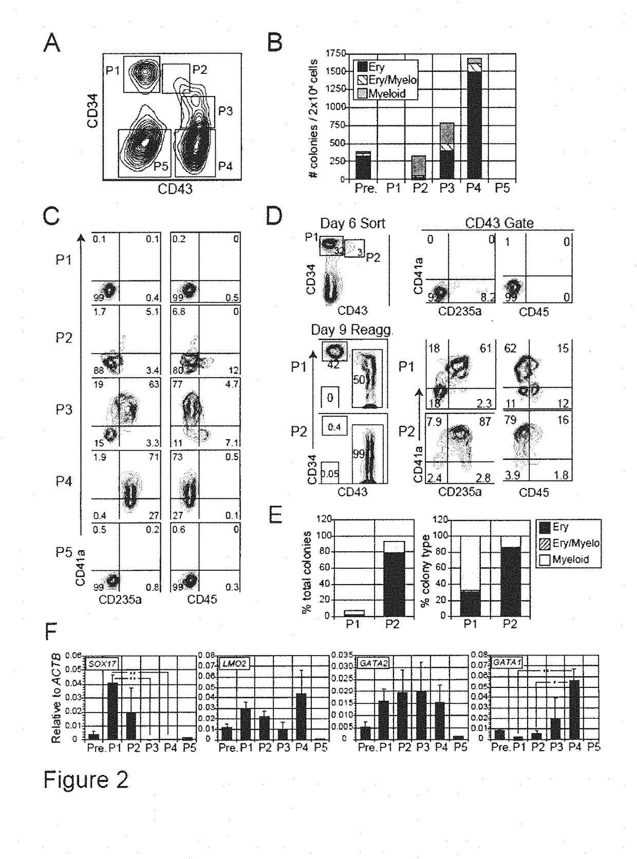 Populations of hematopoietic progenitors and methods of enriching stem cells therefor