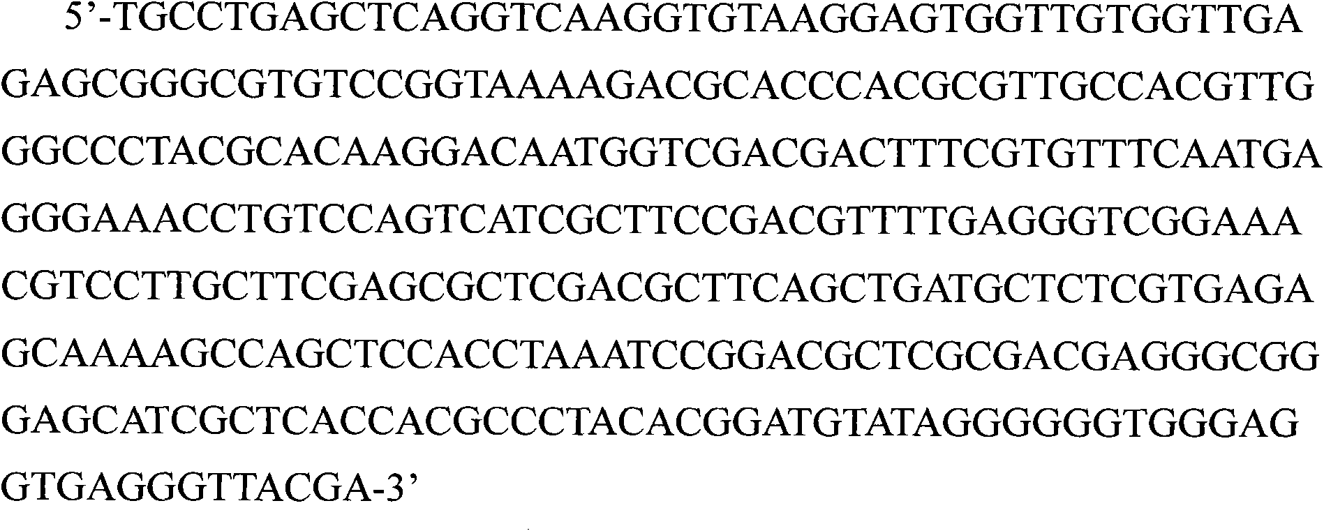 Cultivated fresh water microalgae and application thereof in production of biodiesel and nervonic acid