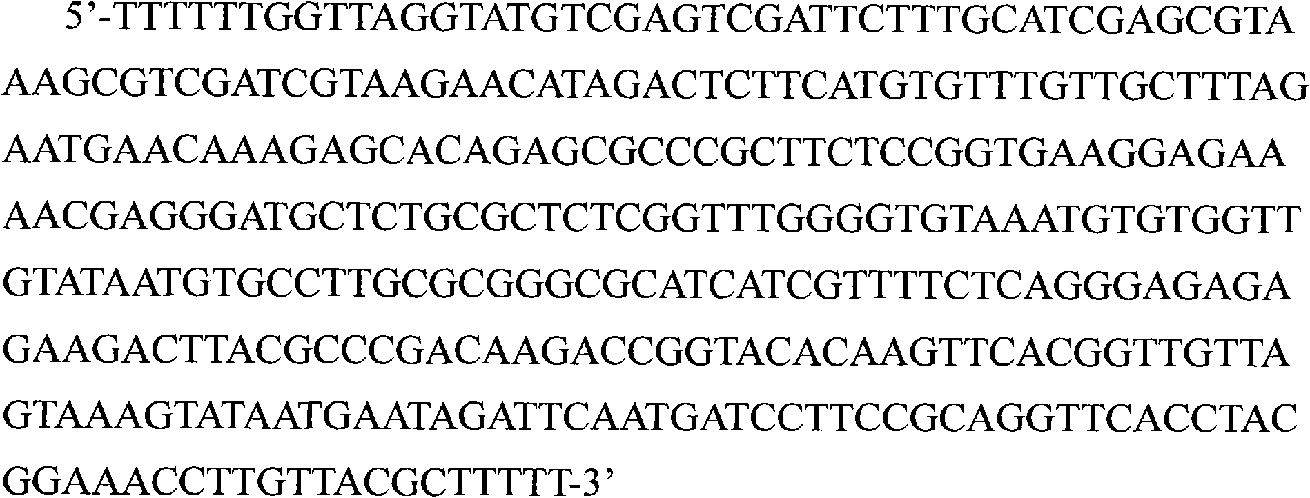 Cultivated fresh water microalgae and application thereof in production of biodiesel and nervonic acid