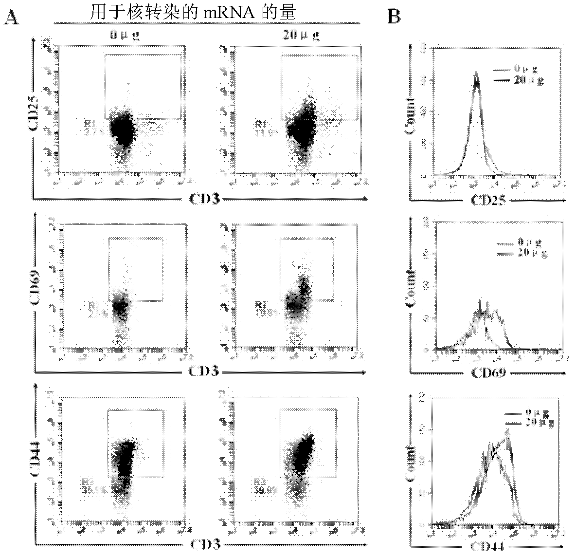 Porcine CD28 receptor and coding gene and application thereof