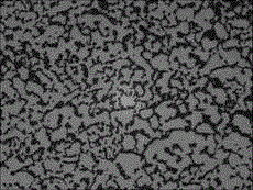 Bacillus megaterium D122, Bacillus megaterium D122 agent, and Bacillus megaterium D122 agent preparation method