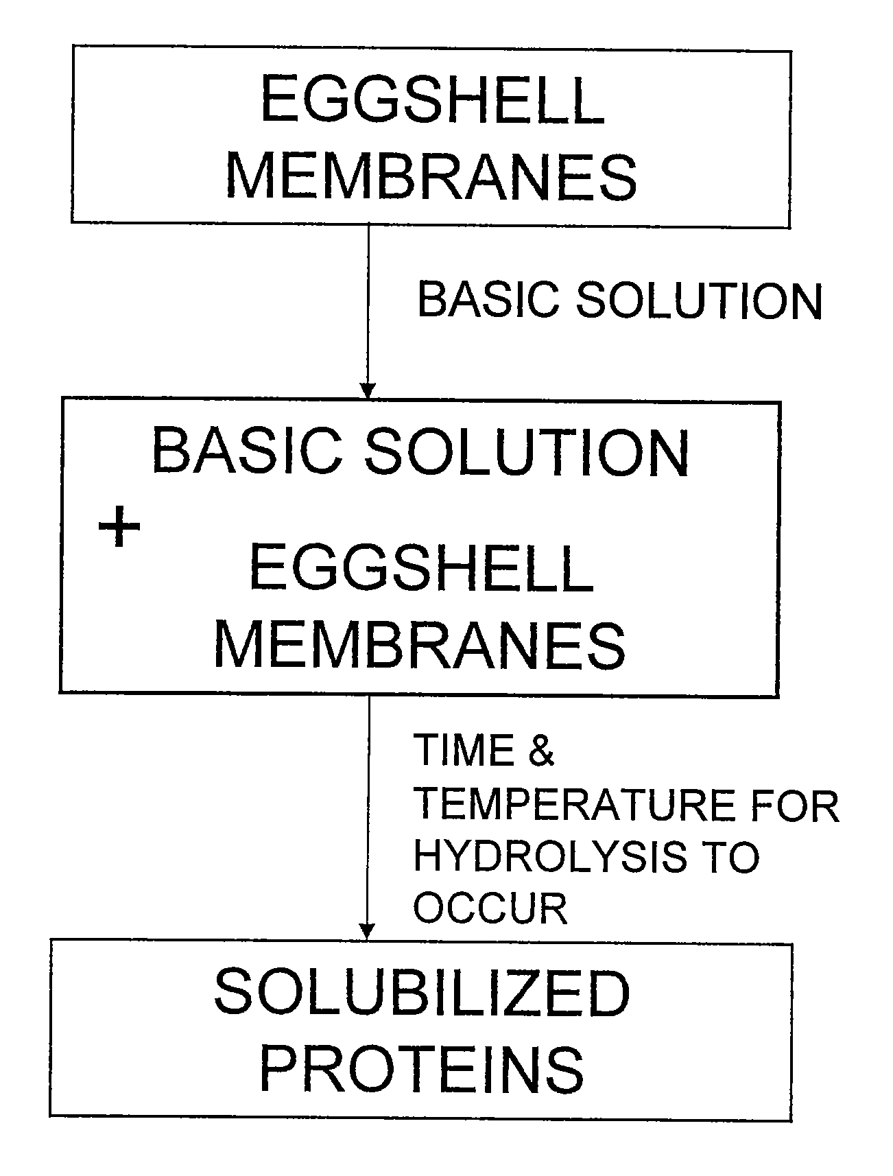 Novel process for solubilizing protein from a proteinaceous material and compositions thereof