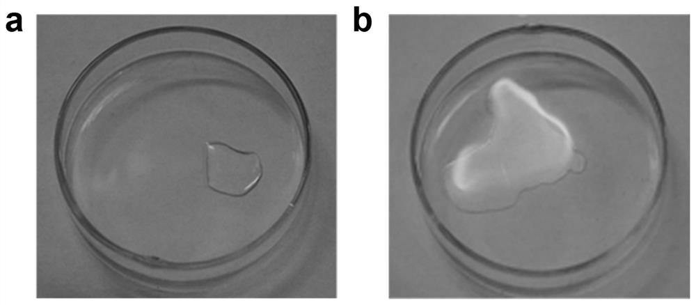 A kind of electrolyte solution for rechargeable zinc ion battery, its preparation method and rechargeable zinc ion battery