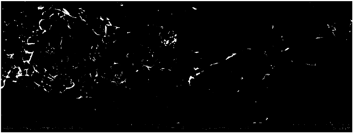 Preparation method of a three-dimensional hierarchical porous biomass carbon lithium ion battery negative electrode material