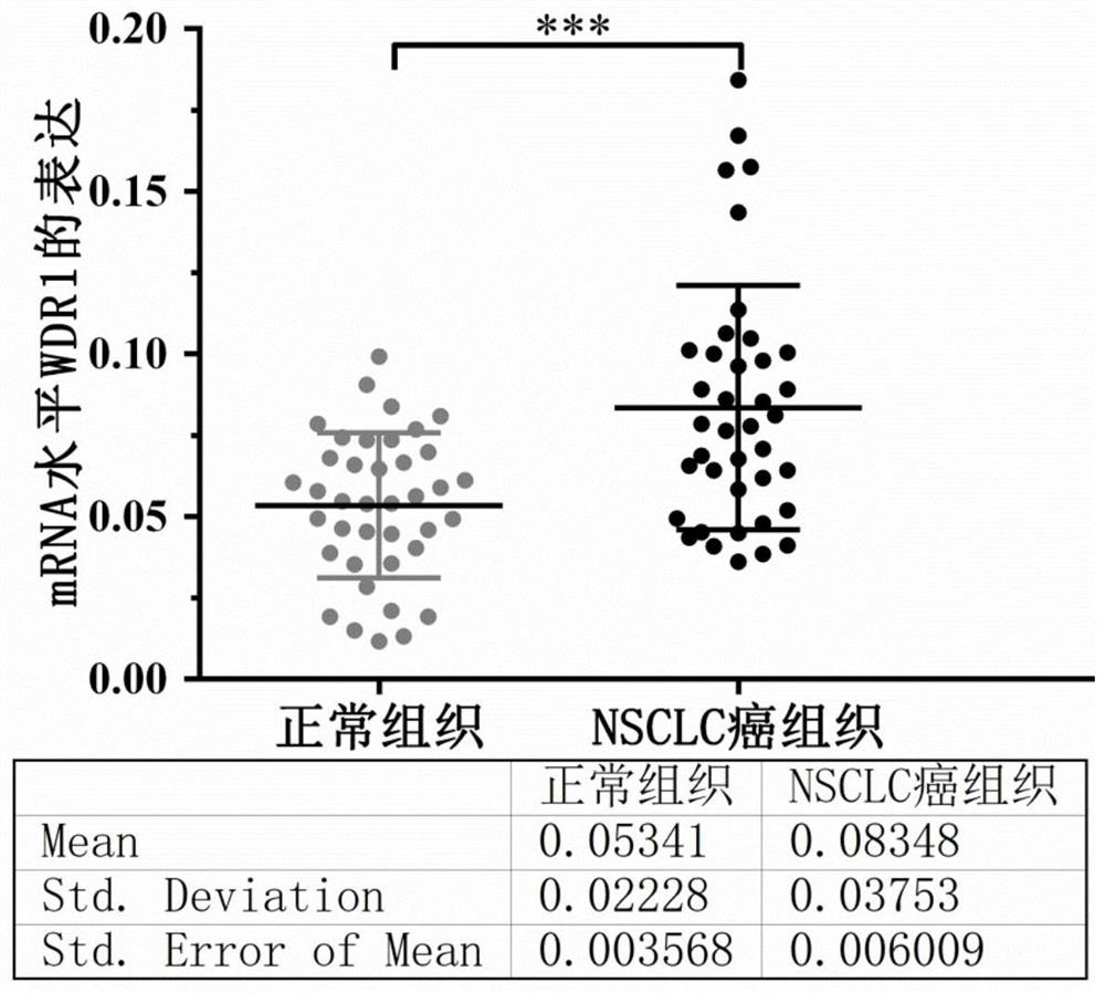 Application of wdr1 gene in preparation of non-small cell lung cancer treatment and detection products