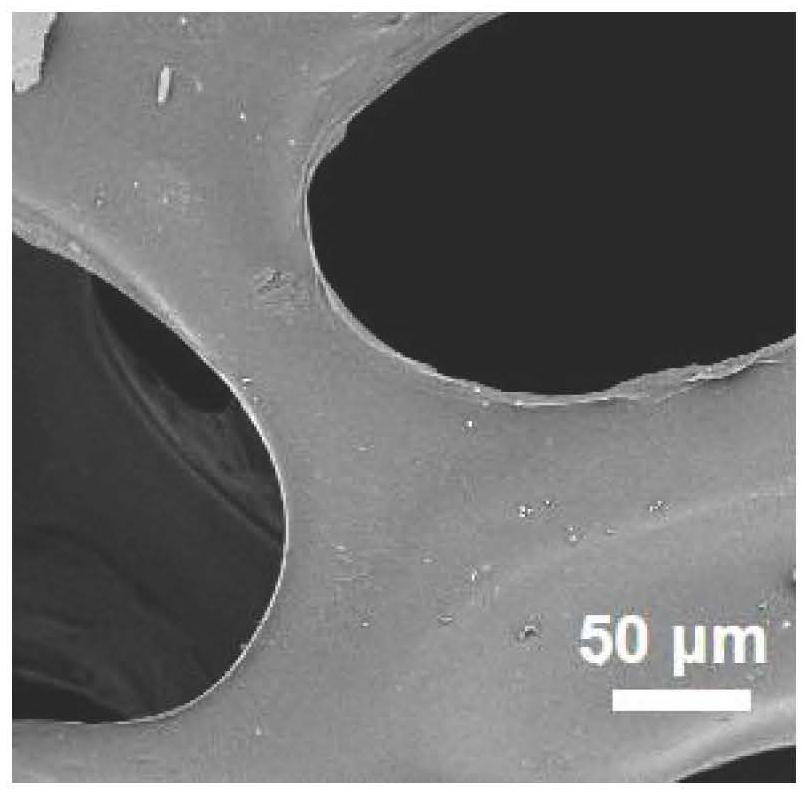 Leaf-like porous membrane composite PPy/PVA sponge and preparation method and application thereof