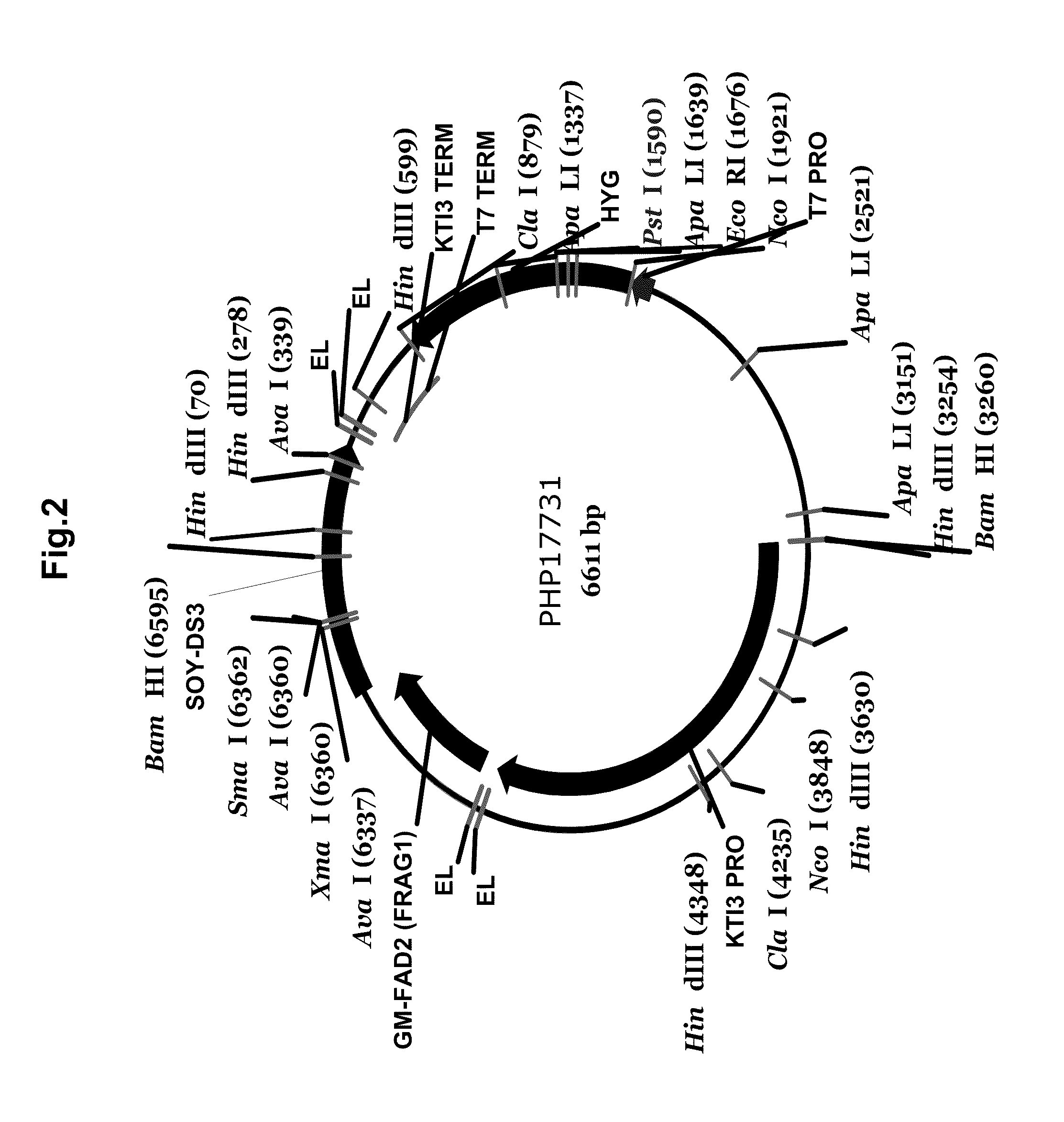 Soy protein products having altered characteristics