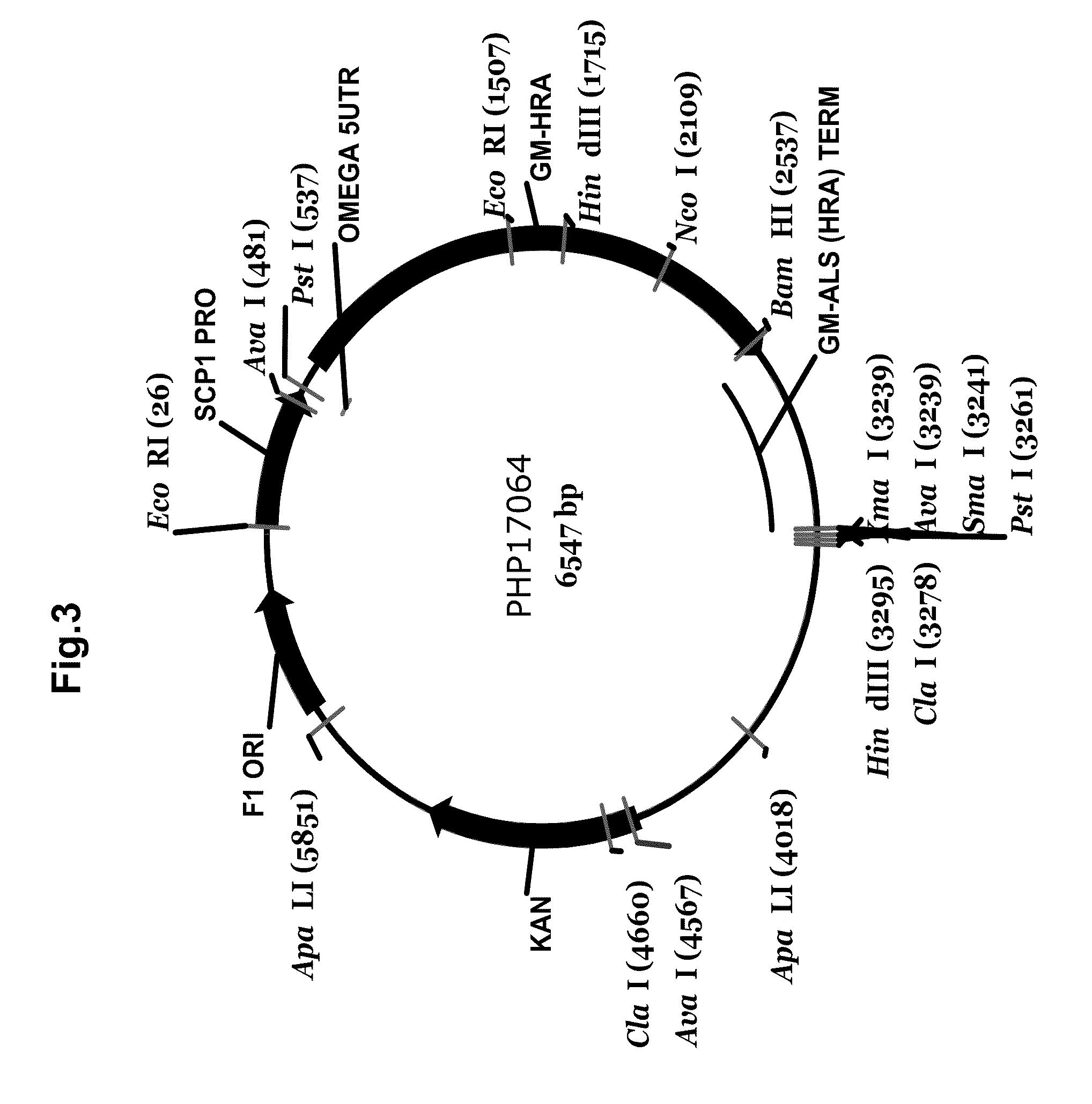 Soy protein products having altered characteristics