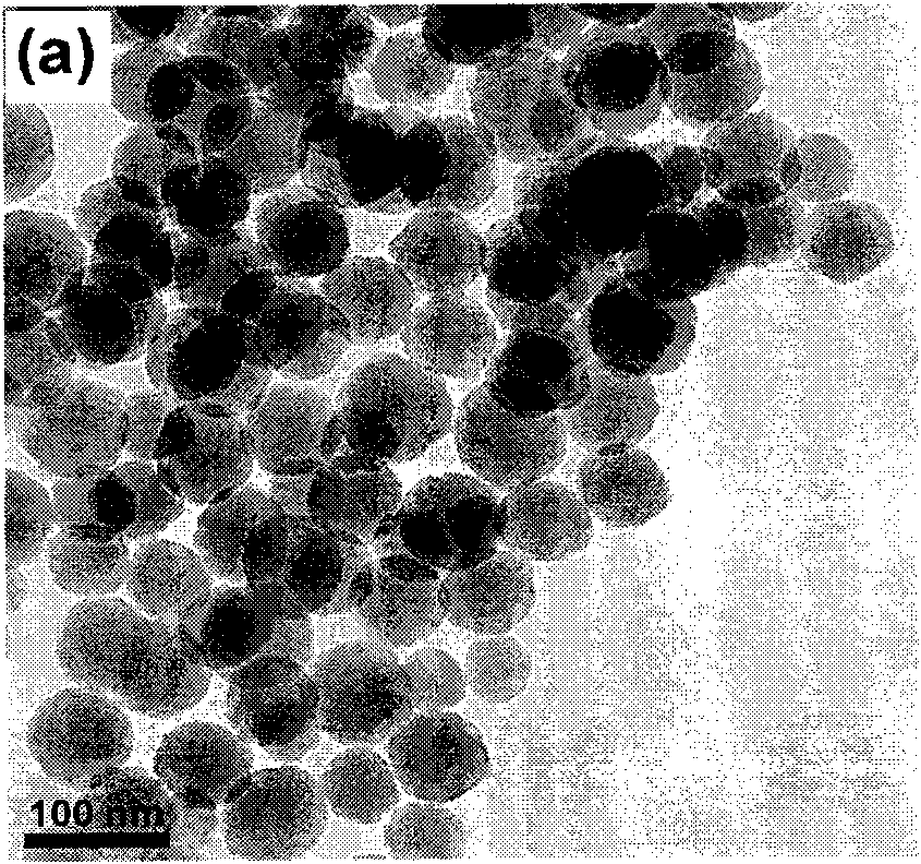 Multifunctional nuclear shell structure drug carrier material and preparation method thereof