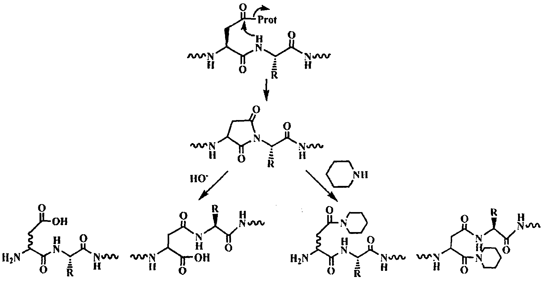 Novel method for synthesizing polypeptide containing aspartic acid-arginine and derivate units