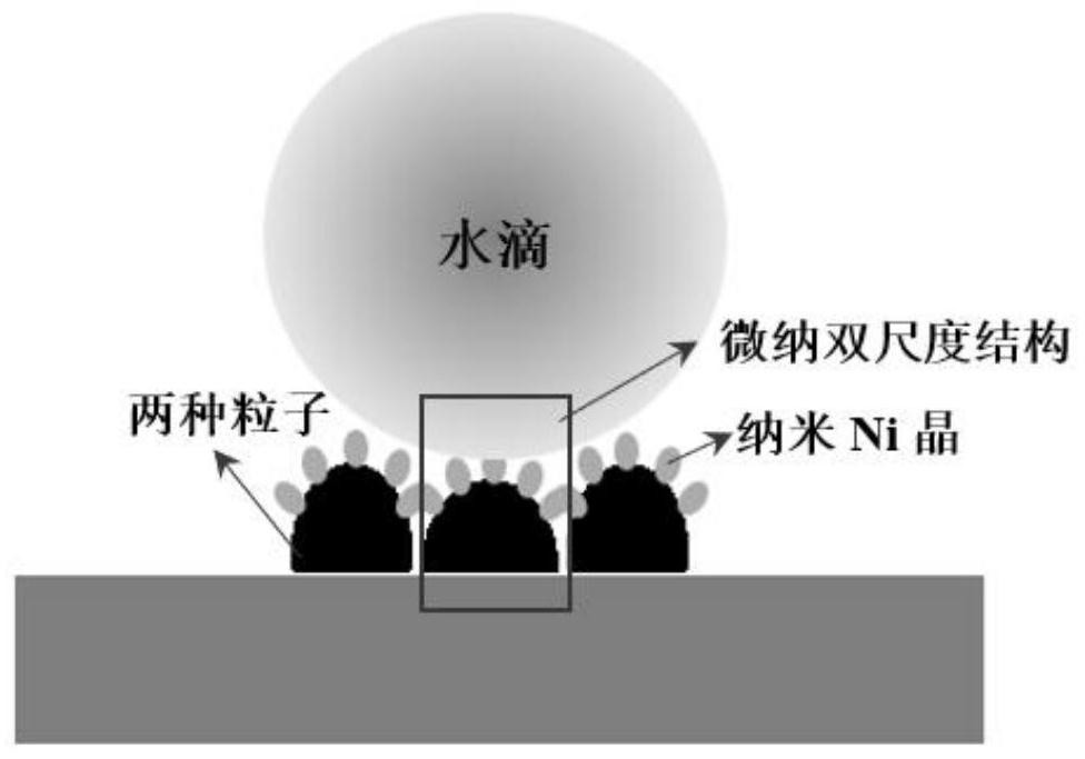 A kind of ni-ptfe-sic superhydrophobic anticorrosion coating and preparation method thereof