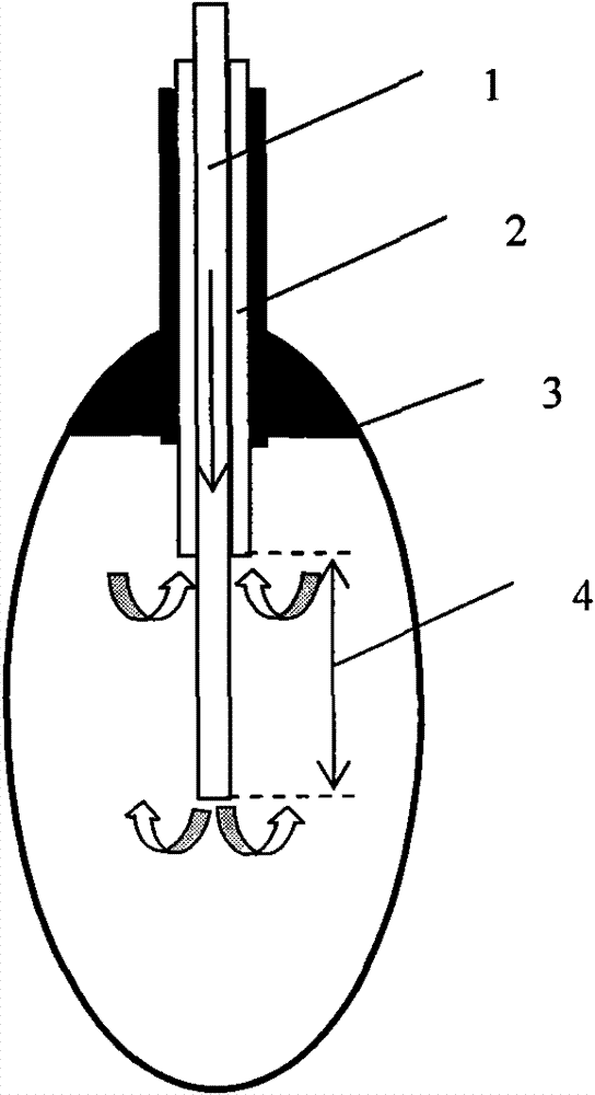 Rapid solution construction method for rock salt cavity