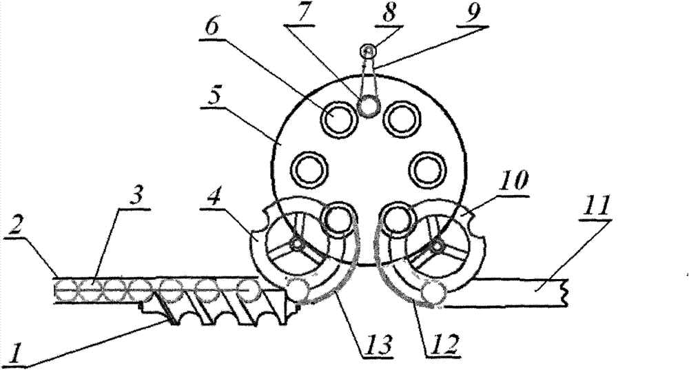 Automatic coconut slugging machine