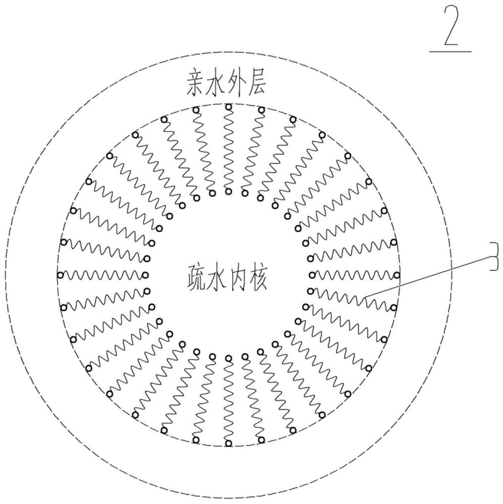 Skin disinfection spray preparation