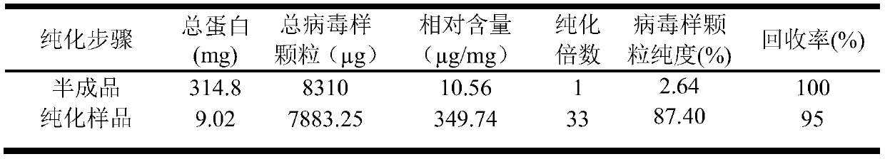 A purification method and application of porcine circovirus type 2 virus-like particles