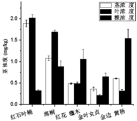 The application of the combination of eucalyptus and Phnom Penh Boxus in immobilizing heavy metals in soil