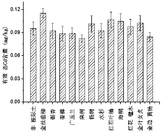 The application of the combination of eucalyptus and Phnom Penh Boxus in immobilizing heavy metals in soil