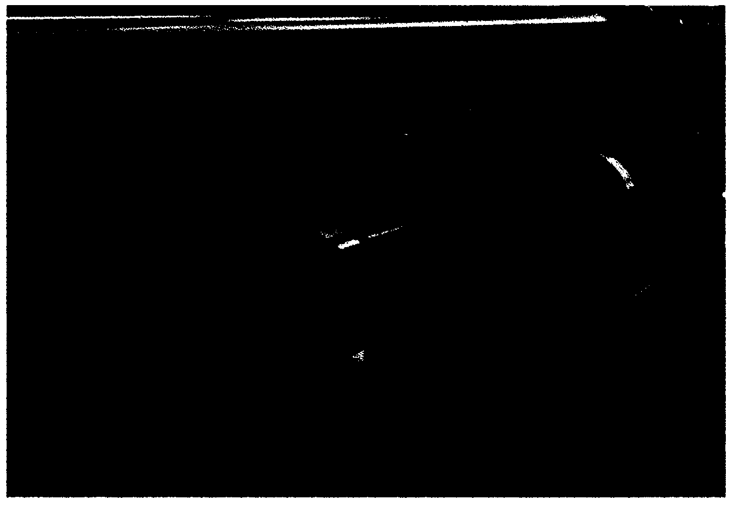 Thin Polarizer, method for manufacturing same, and polarizing plate and display device comprising thin polarizer