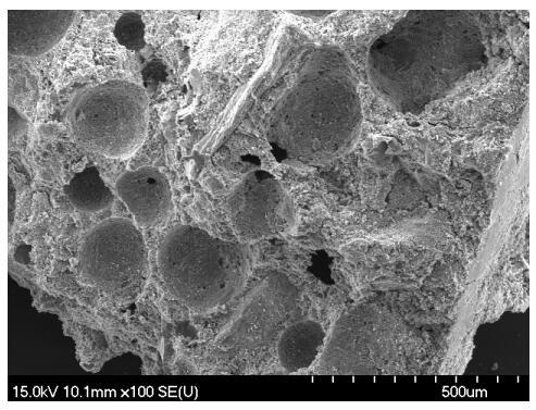 Foam aerated concrete building block prepared from iron tailings at normal temperature and under normal pressure and preparation method of foam aerated concrete building block