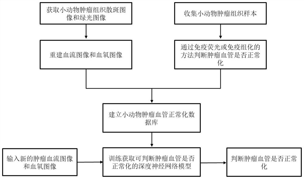 Multi-parameter tumor blood vessel normalization detection system and detection method