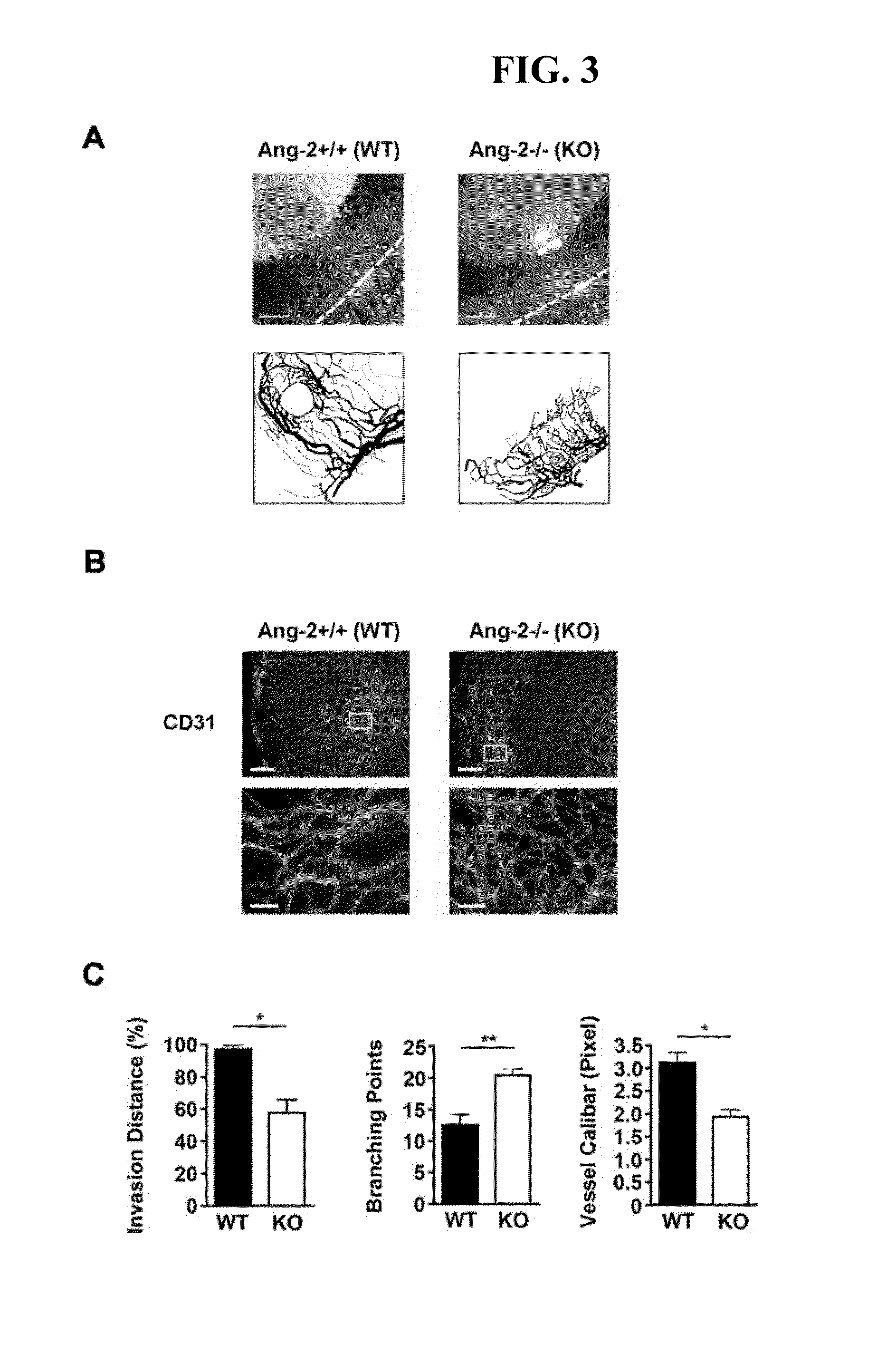 Methods of modulating lymphangiogenesis, e.g., to treat corneal transplant rejection, in a subject