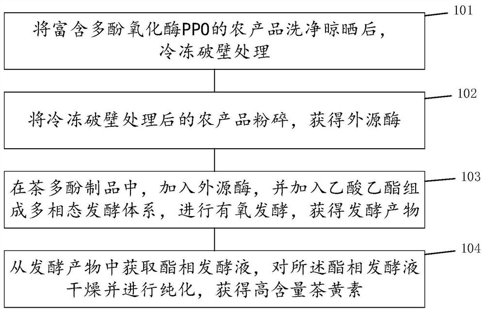 Method for preparing theaflavin from exogenous enzyme and product prepared by method