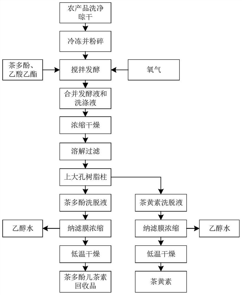 Method for preparing theaflavin from exogenous enzyme and product prepared by method