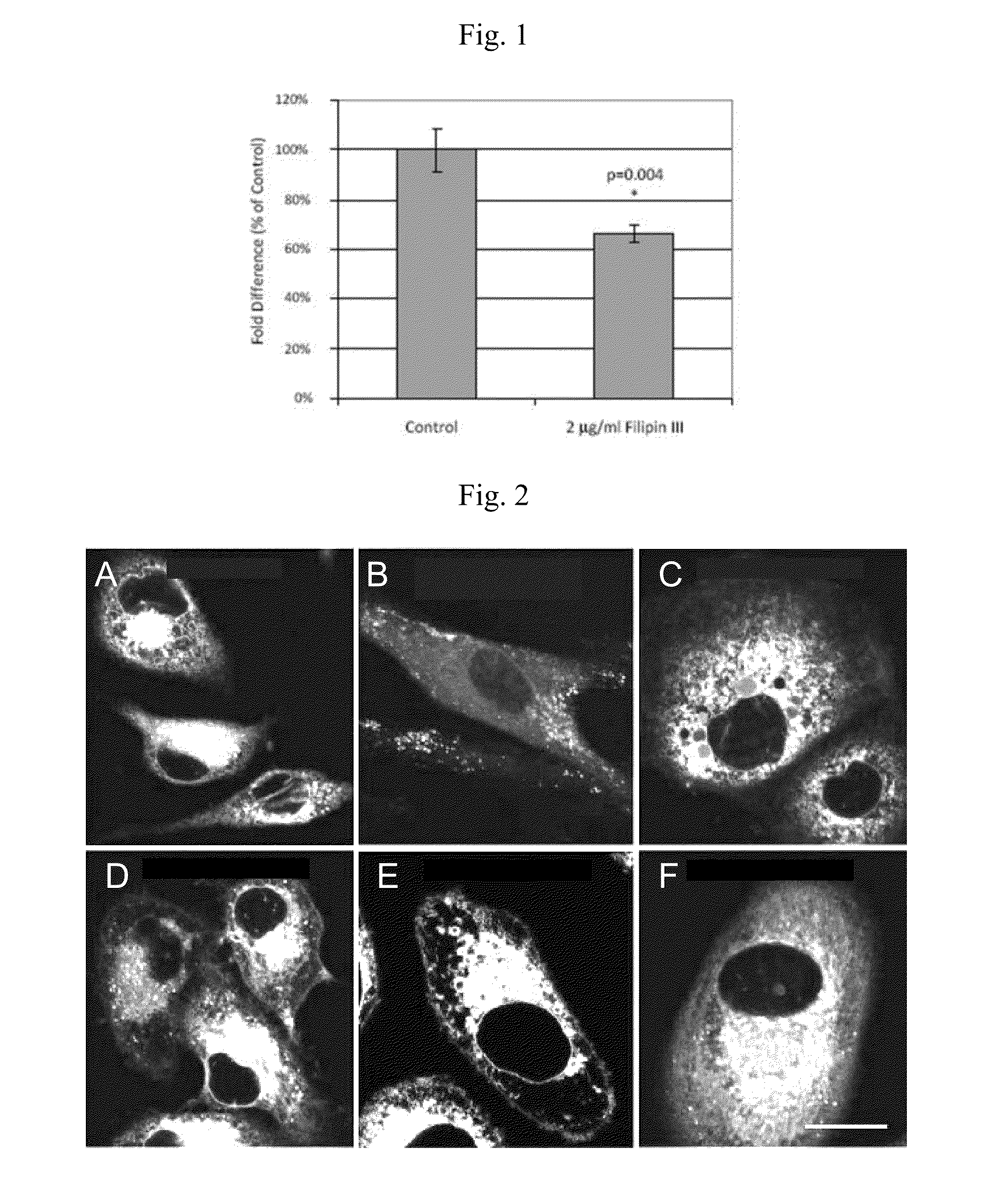 Phospholipid ether analogs as cancer-targeting drug vehicles