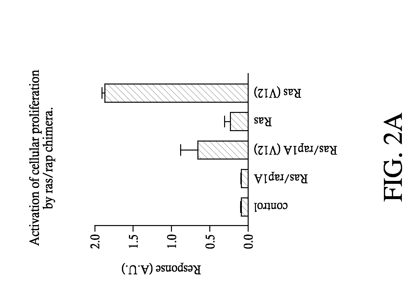 G-protein coupled receptors high-throughput functional assay