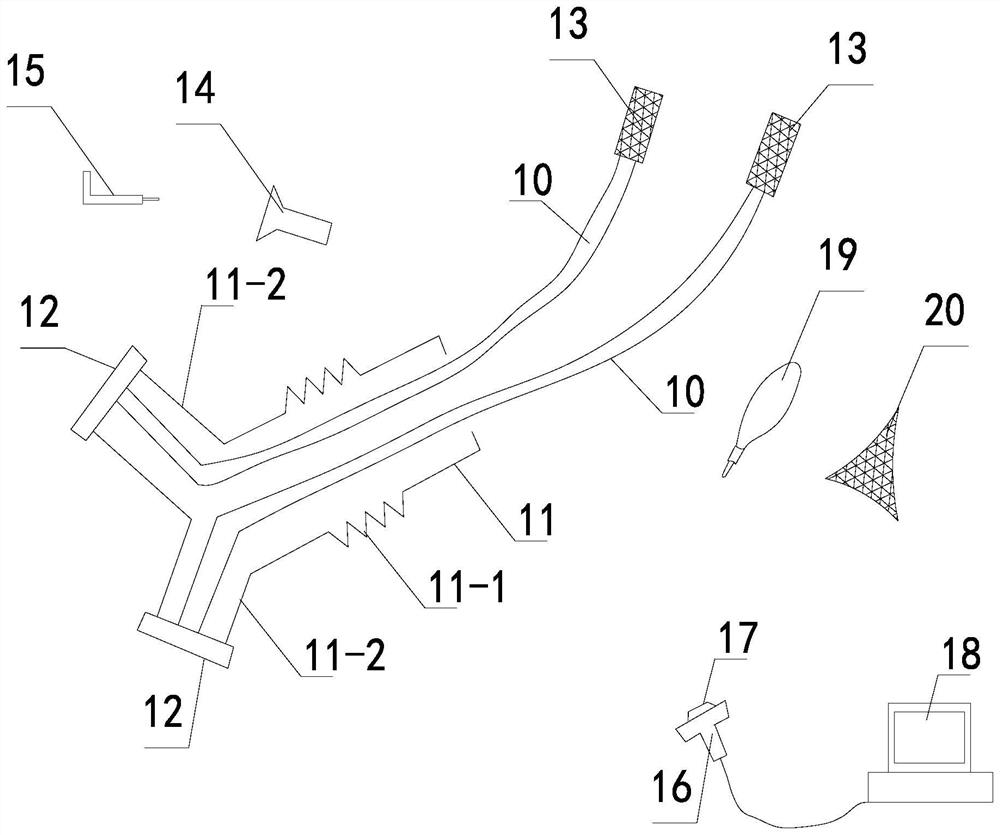 Stent placing device used in cardiac surgery