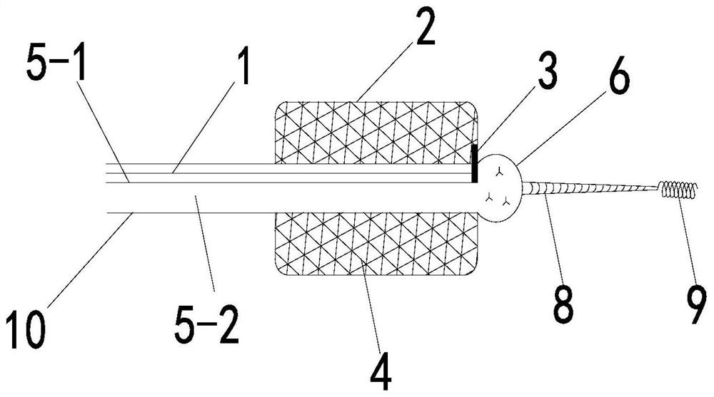 Stent placing device used in cardiac surgery