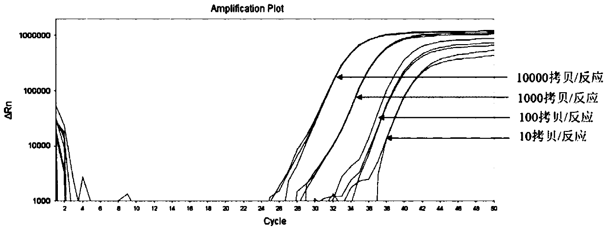 Primer probe group, kit, detection method and application for alimentary canal tumor marker detection