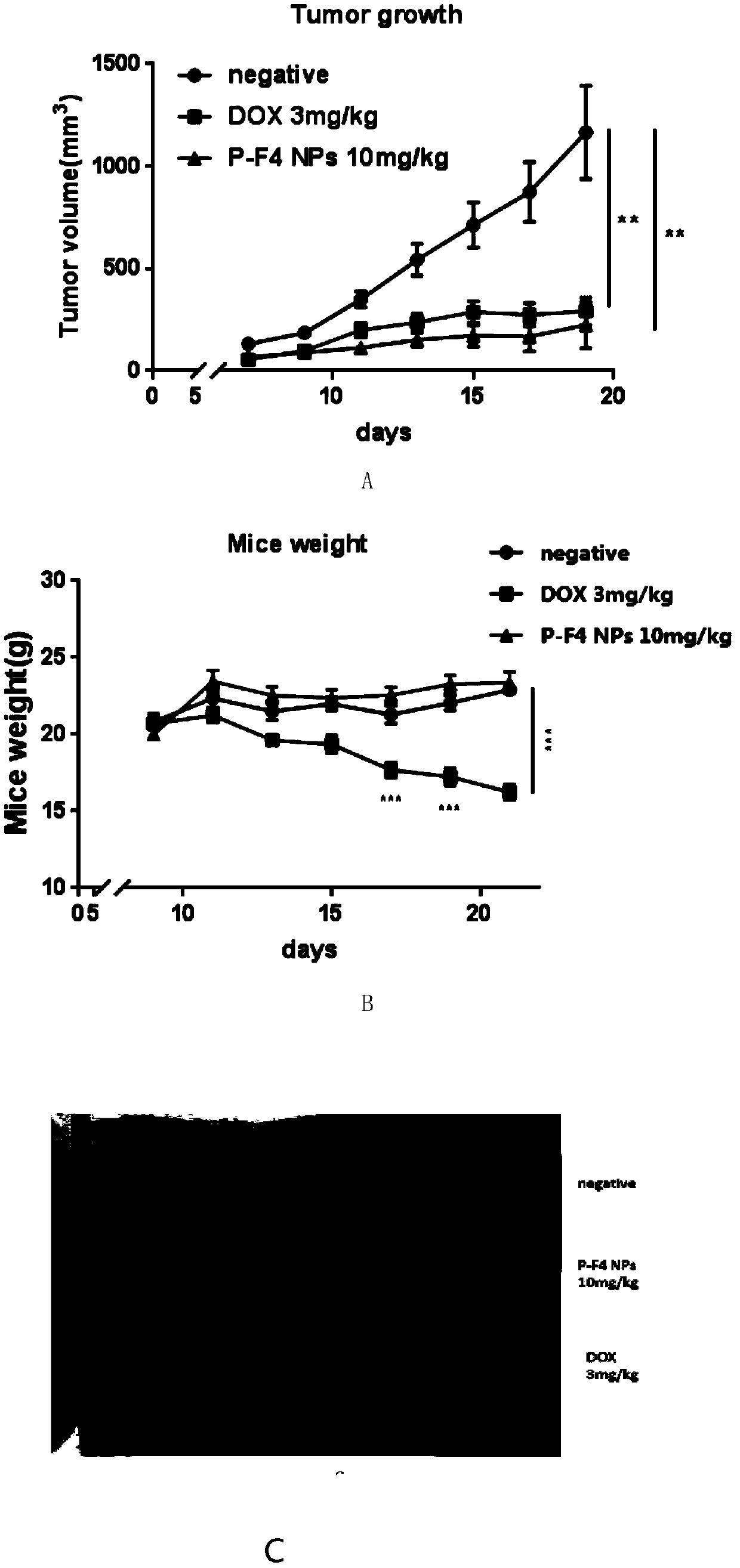 PD-1 targeted blocking peptide and application thereof