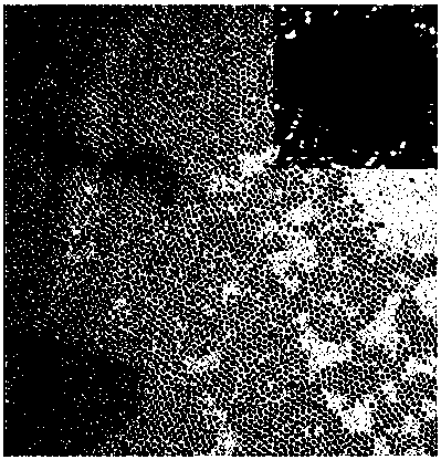 Preparation method of colloidal ZnO/Au composite nanomaterials