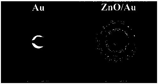 Preparation method of colloidal ZnO/Au composite nanomaterials