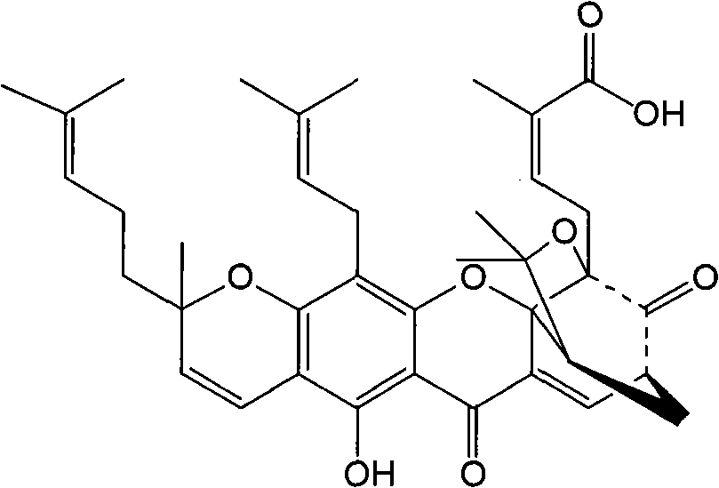 Extraction technology of gambogic acid