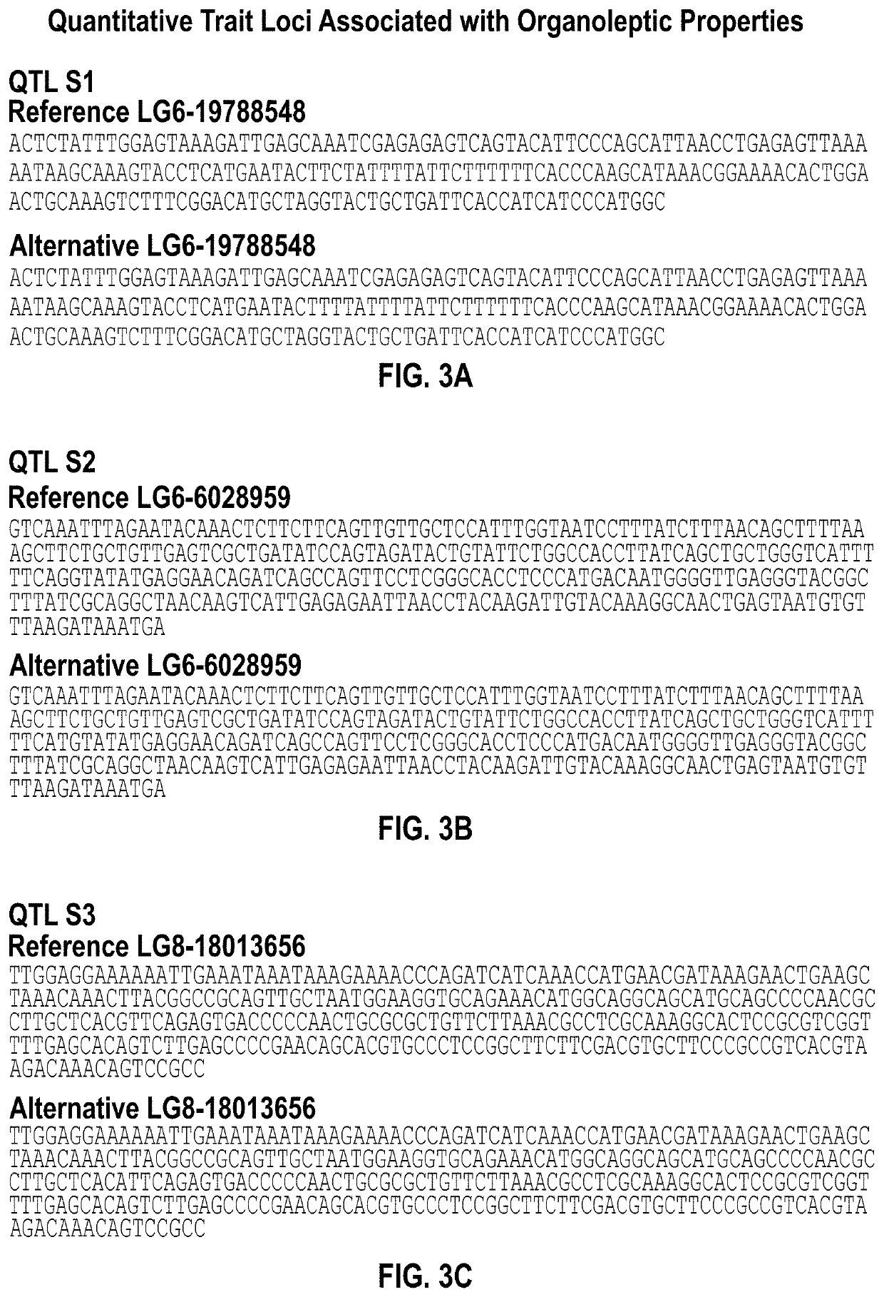 Sesame plants with improved organoleptic properties and methods thereof