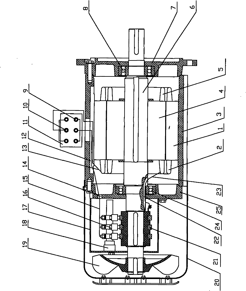 Wire-wound three-phase asynchronous motor with external electric brush and external slide ring