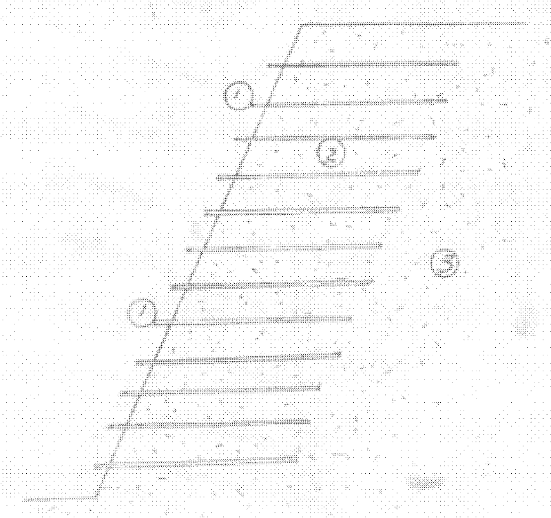 Stacked geogrid enhanced composite soil roadbed and side slope ecology protection structure thereof